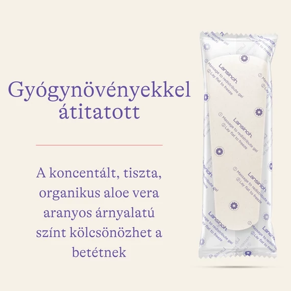 szules_utani_husito_regeneralo_betet_11