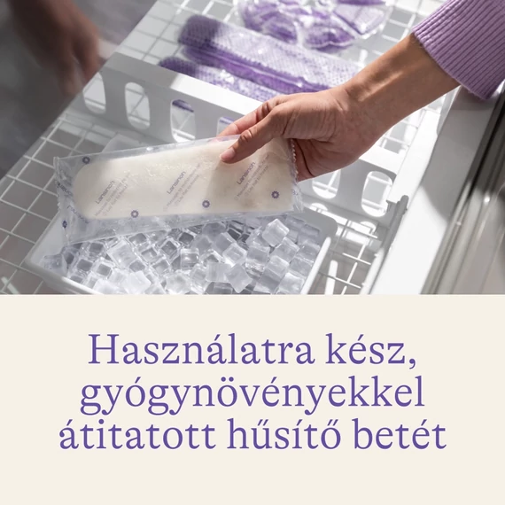 szules_utani_husito_regeneralo_betet_12